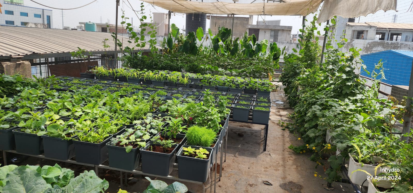 TarUsha Terrace Garden Project in Gurgaon