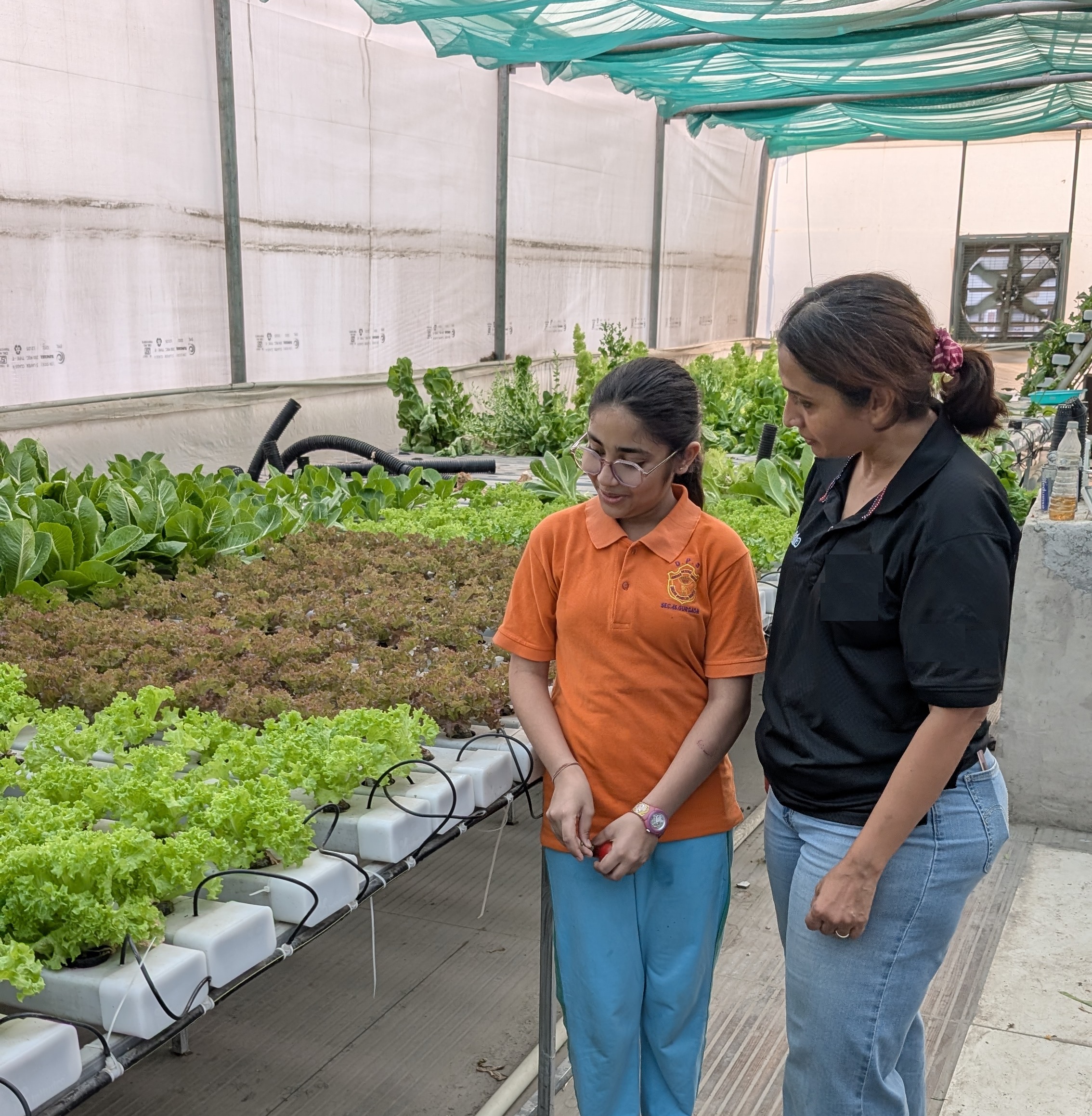Student Hydroponics